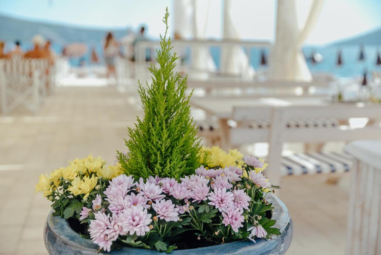 Apartmani Laban Herceg Novi Kültér fotó